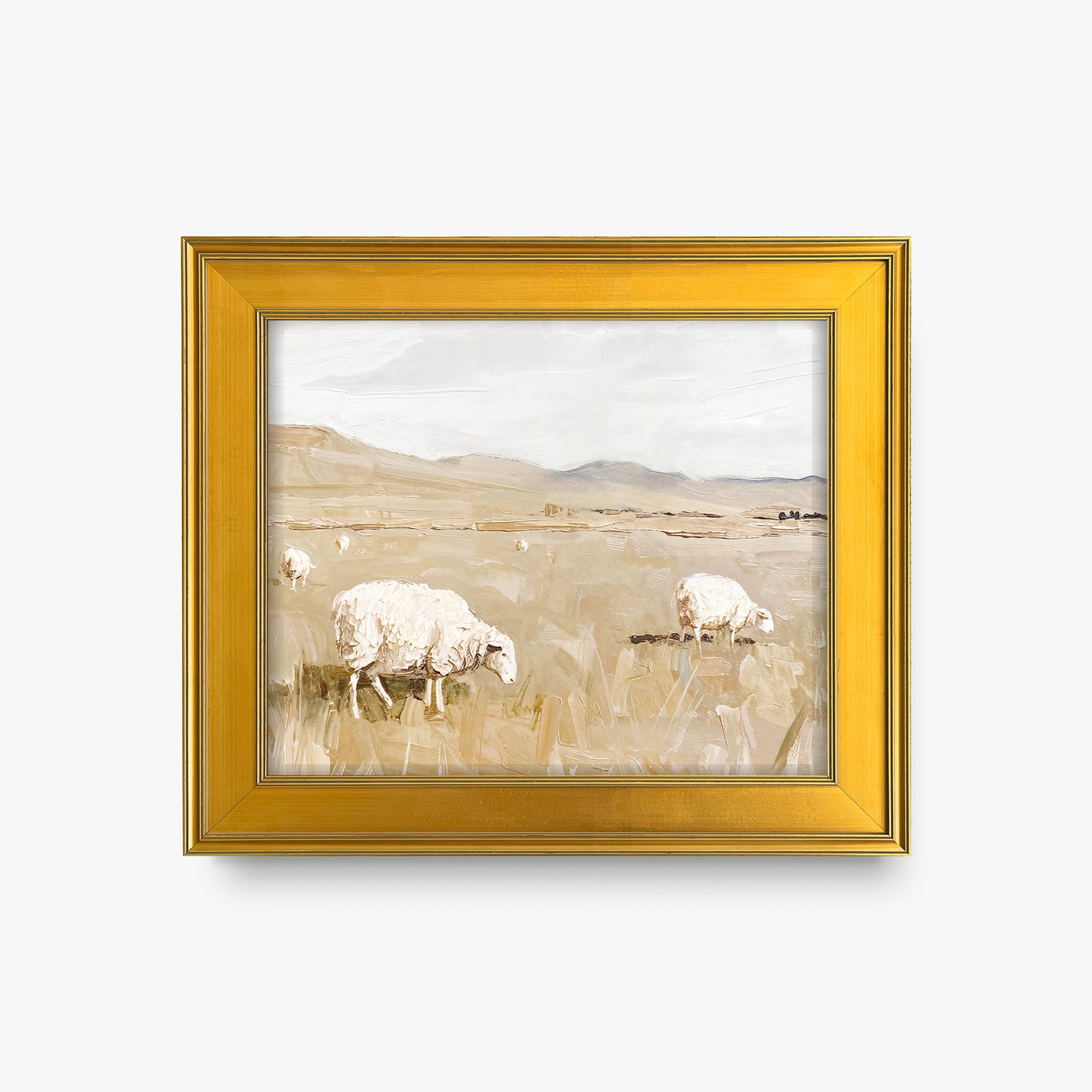 Sheep in Field