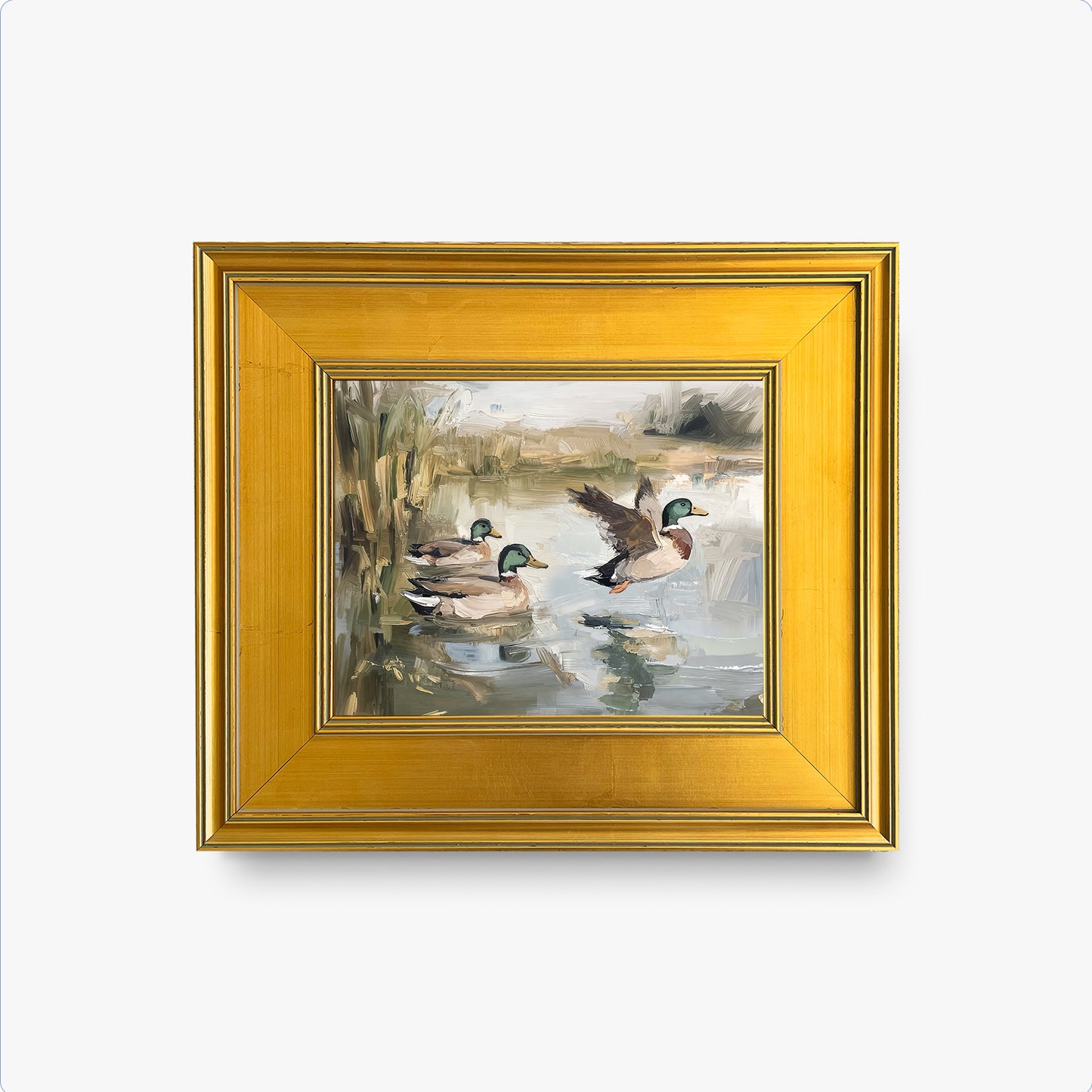 Ducks Wading