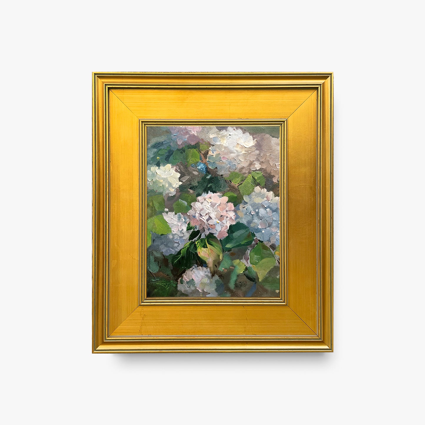 Hydrangea