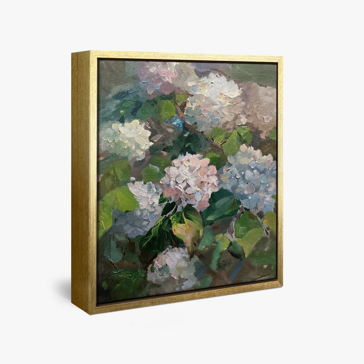 Hydrangea