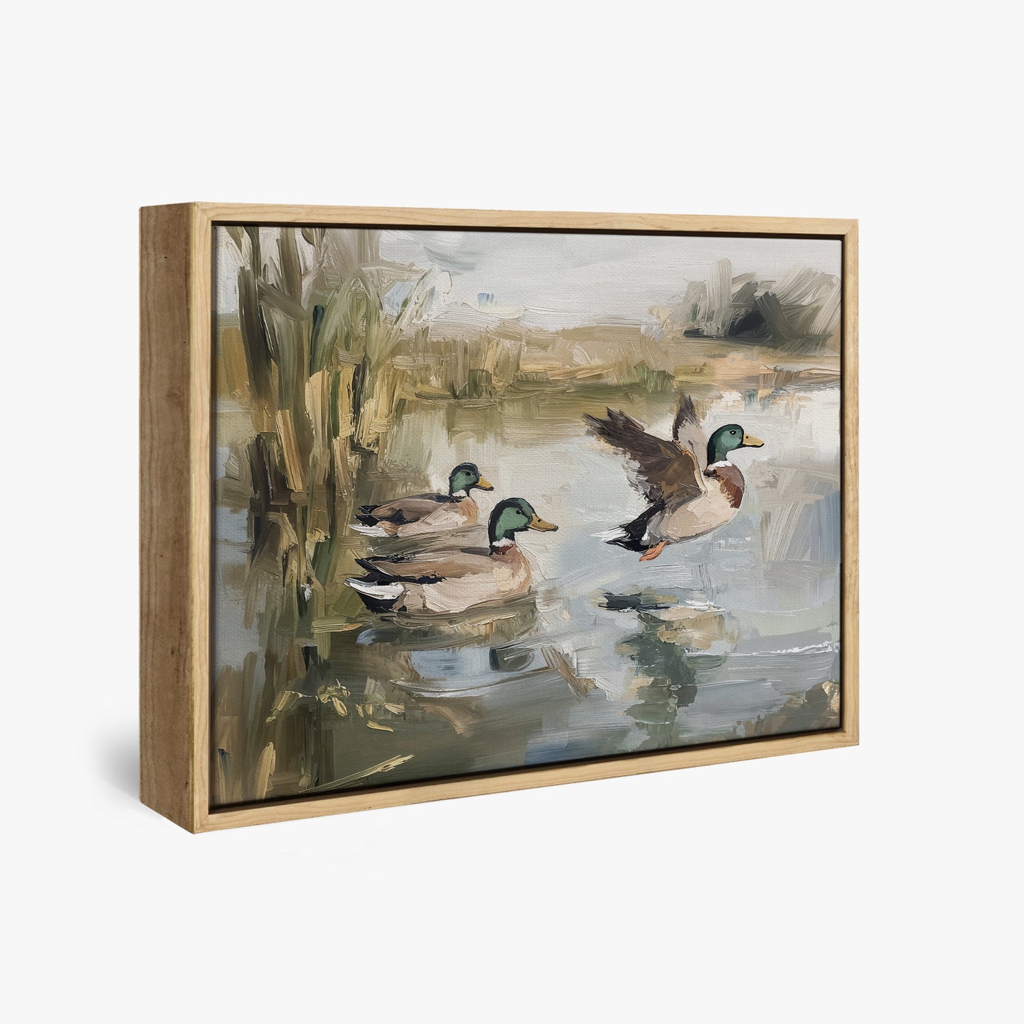 Ducks Wading