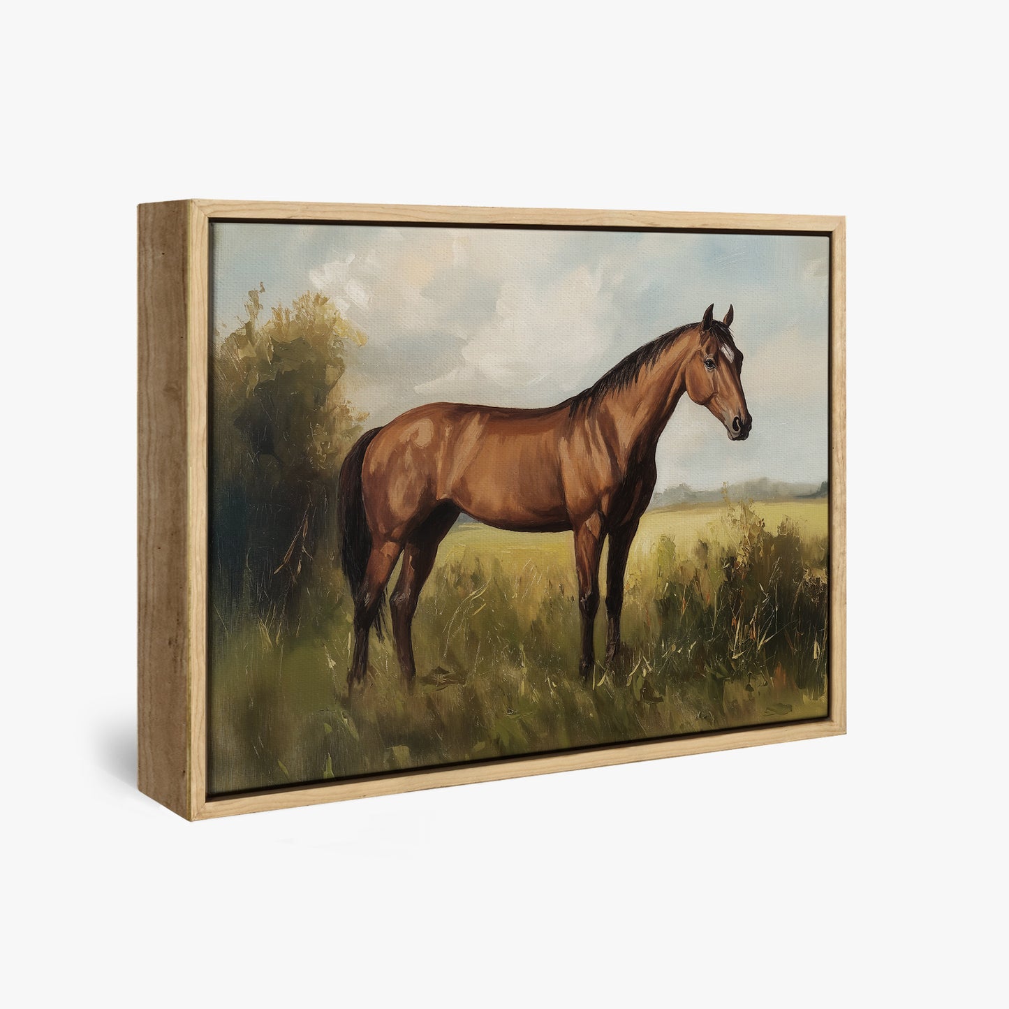 Show Horse