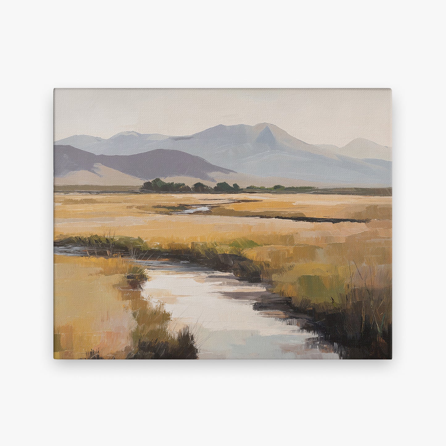 Mountain Valley Stream