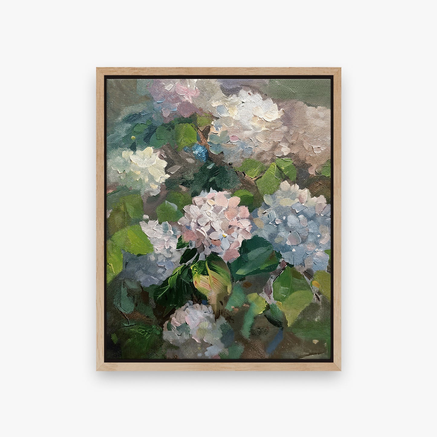 Hydrangea