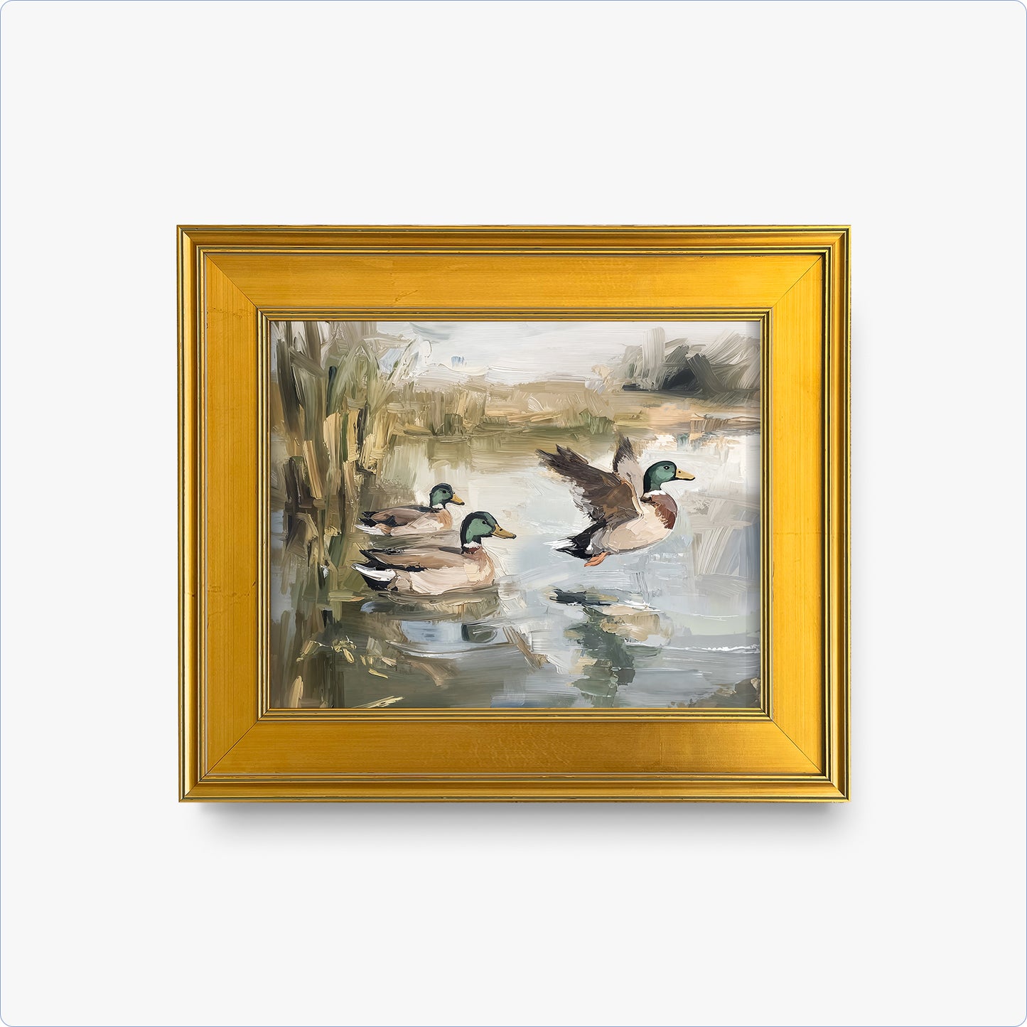 Ducks Wading