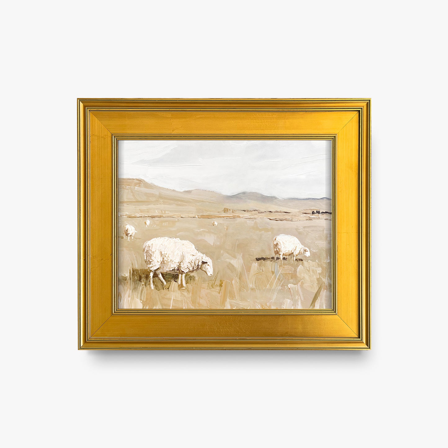 Sheep in Field