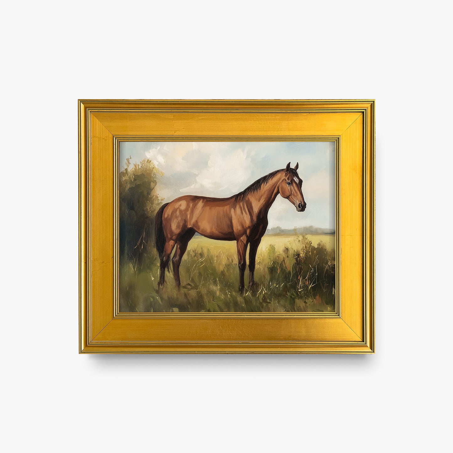 Show Horse