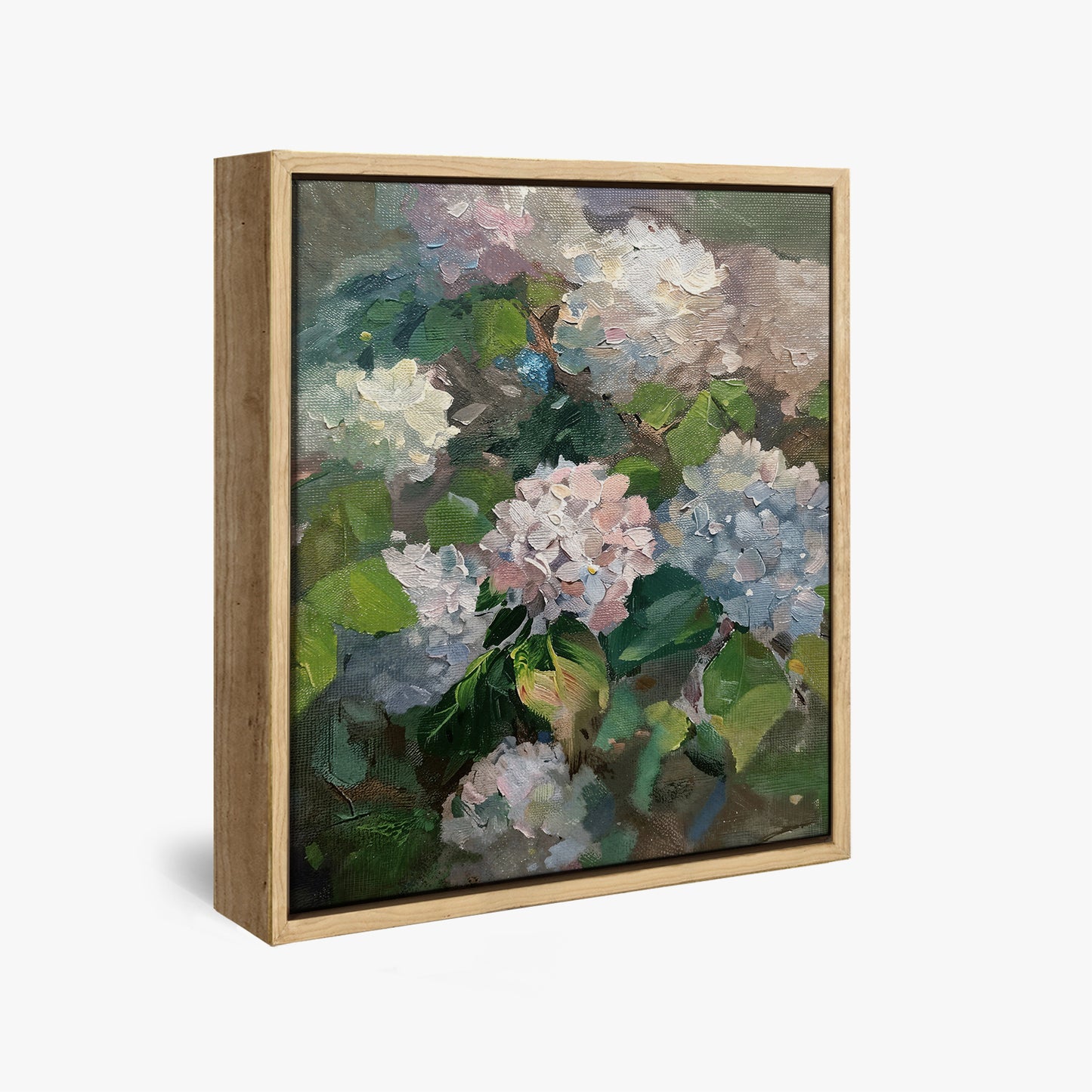 Hydrangea