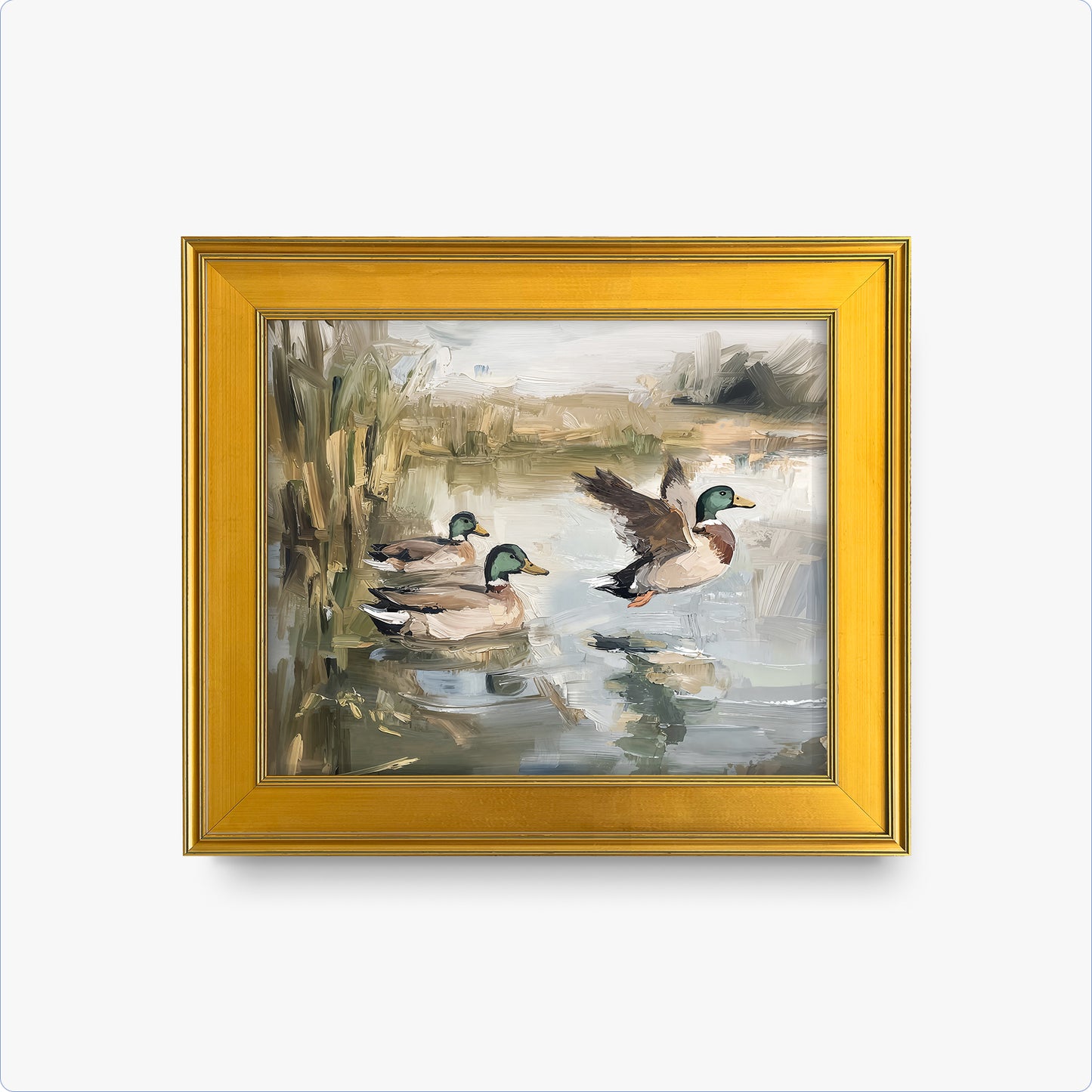 Ducks Wading