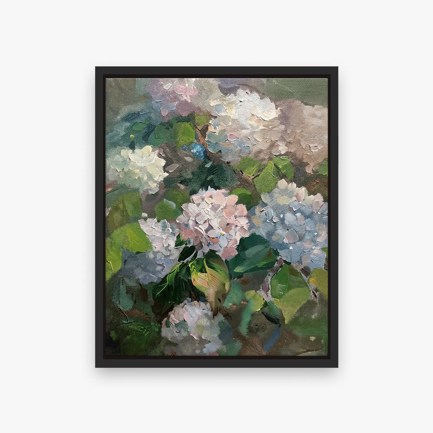 Hydrangea