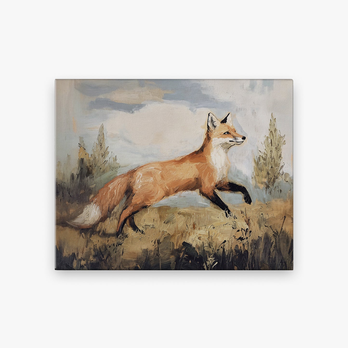 Playful Fox