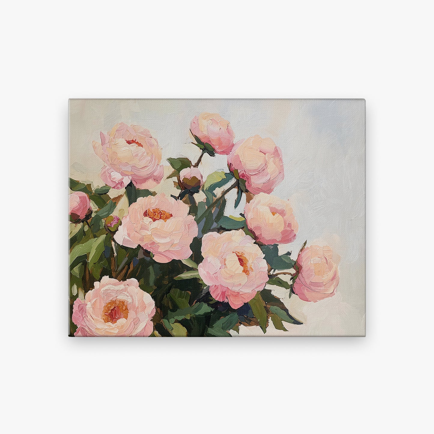 Pink Peonies