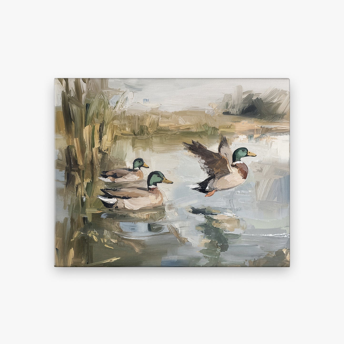 Ducks Wading