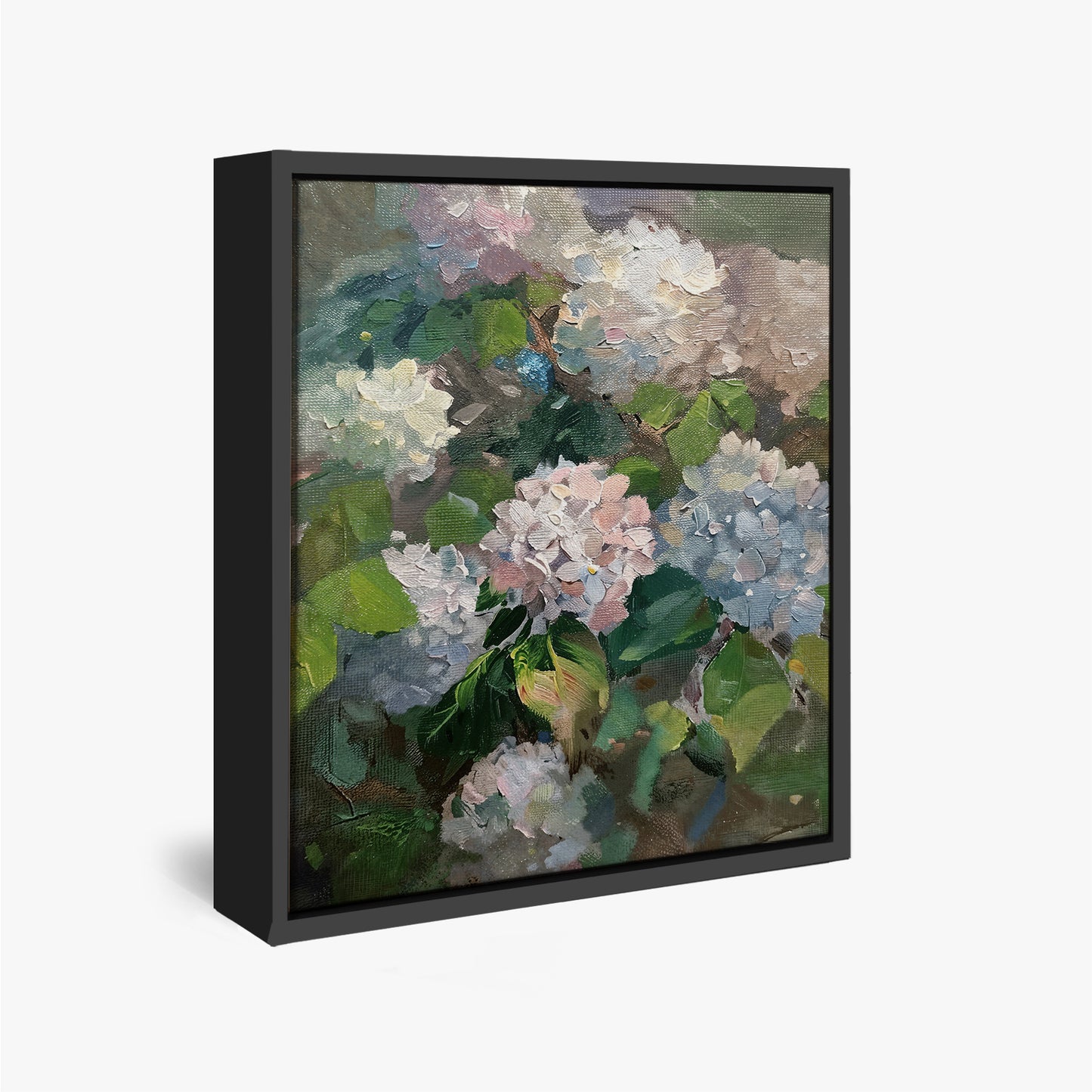 Hydrangea