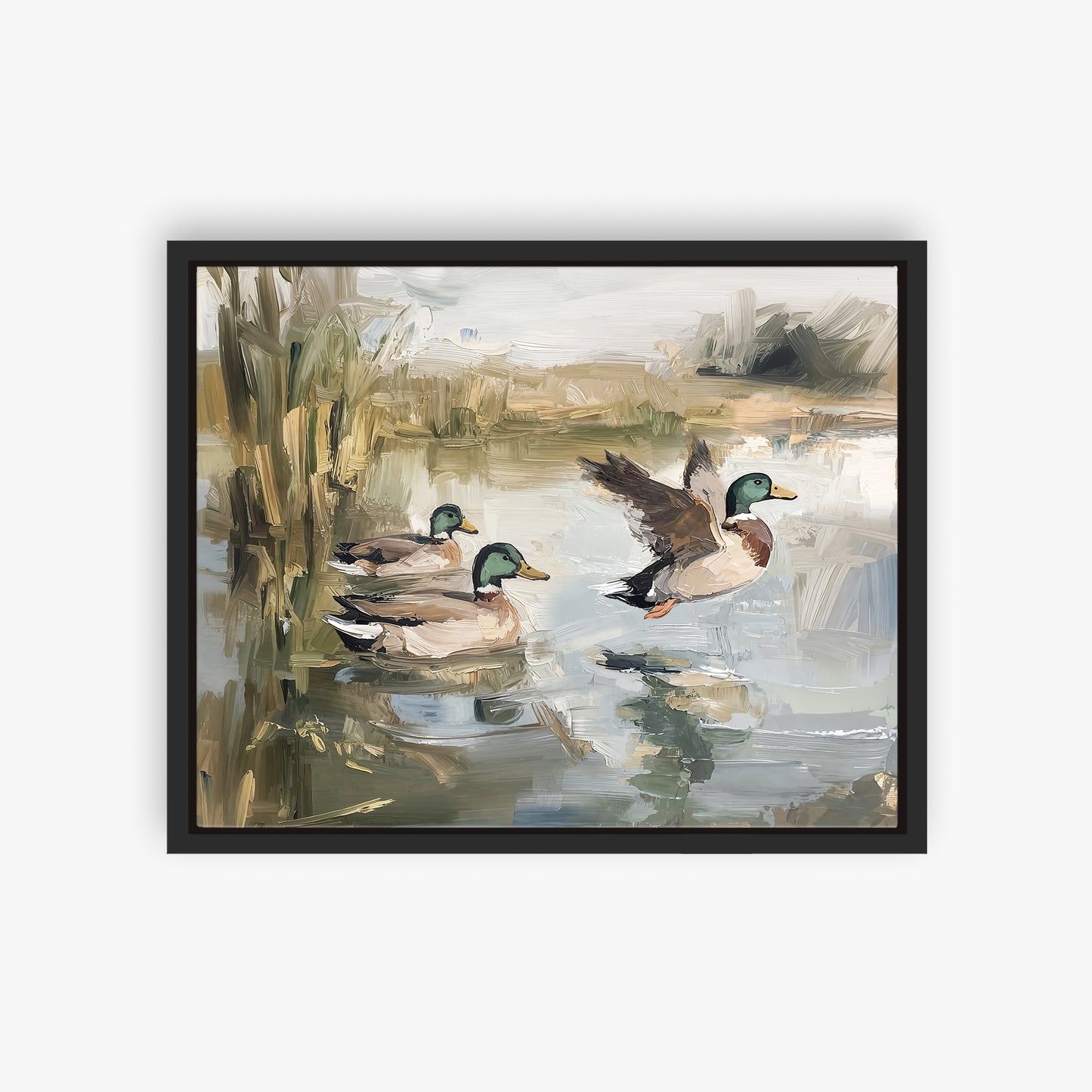 Ducks Wading