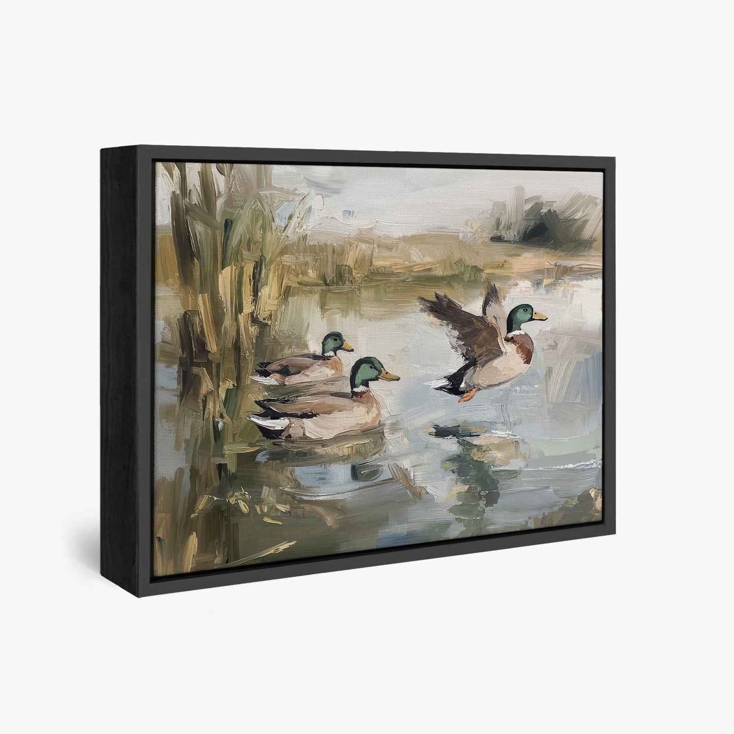 Ducks Wading