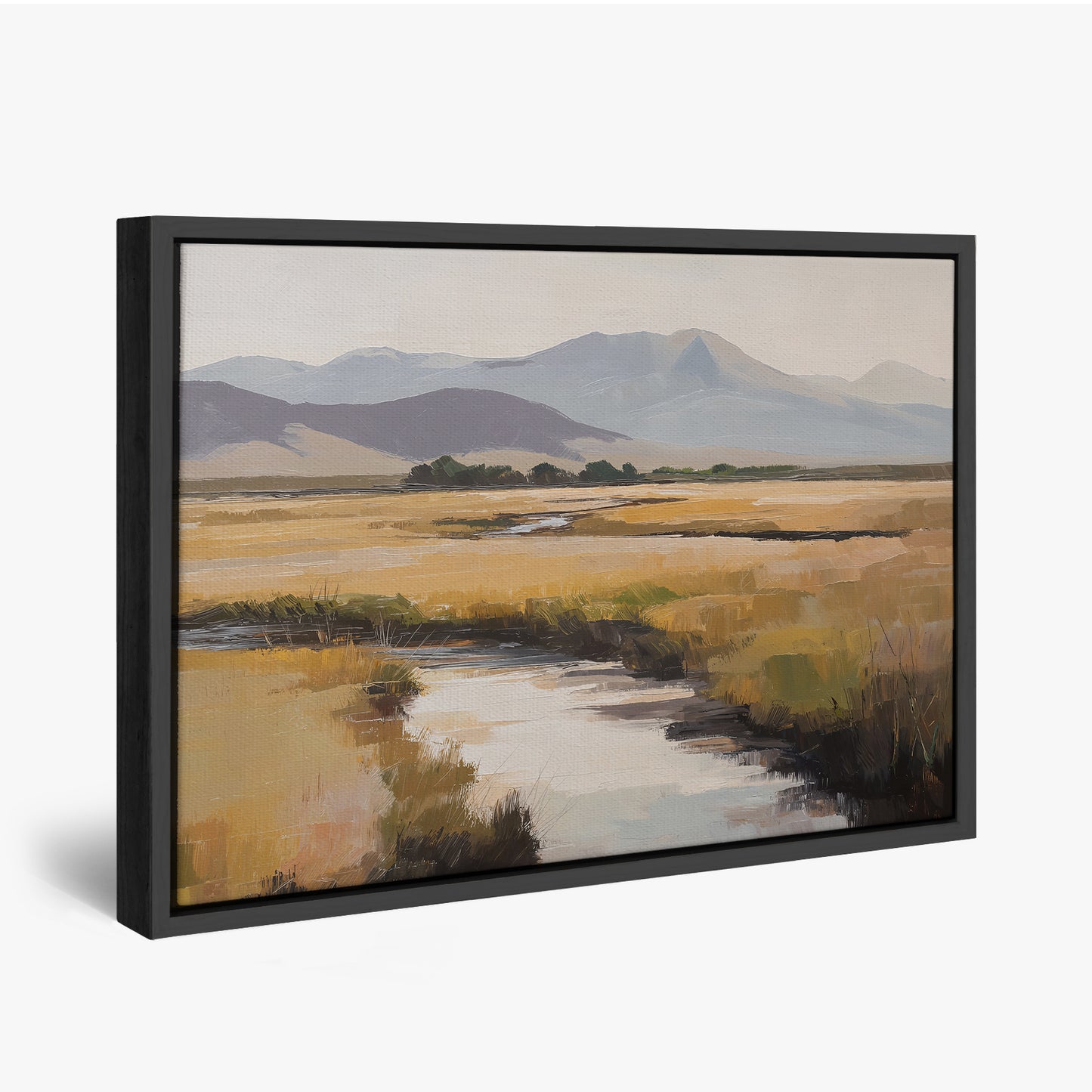 Mountain Valley Stream