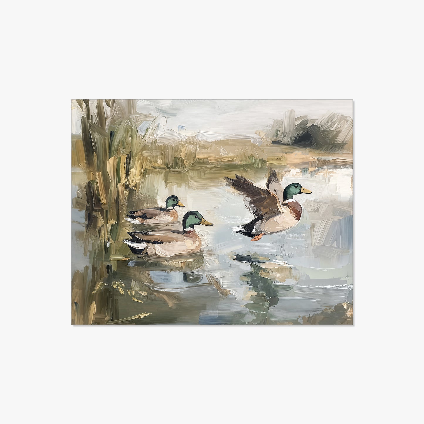 Ducks Wading