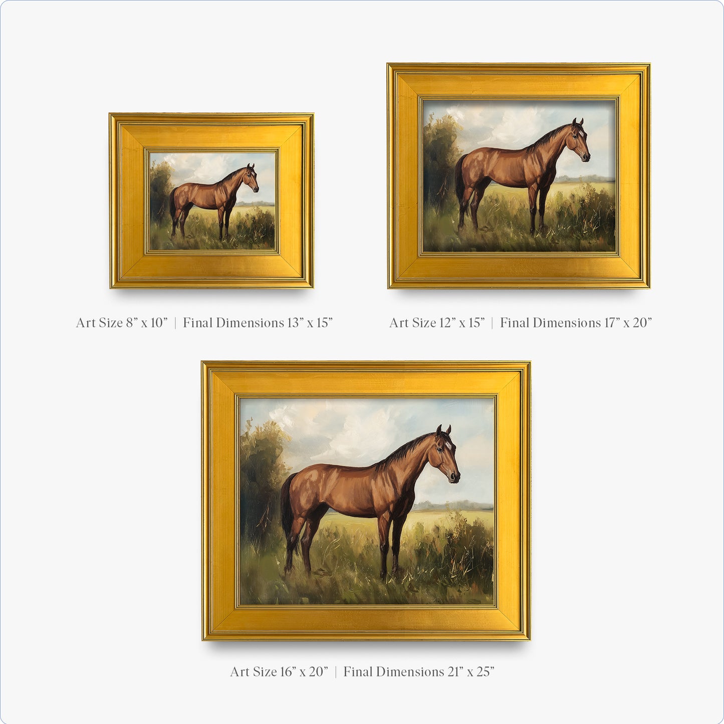 Show Horse