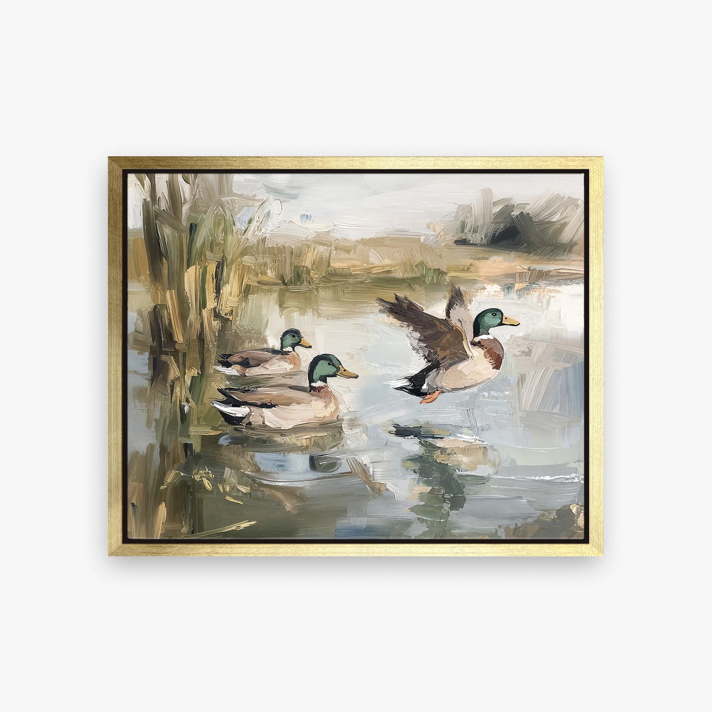 Ducks Wading
