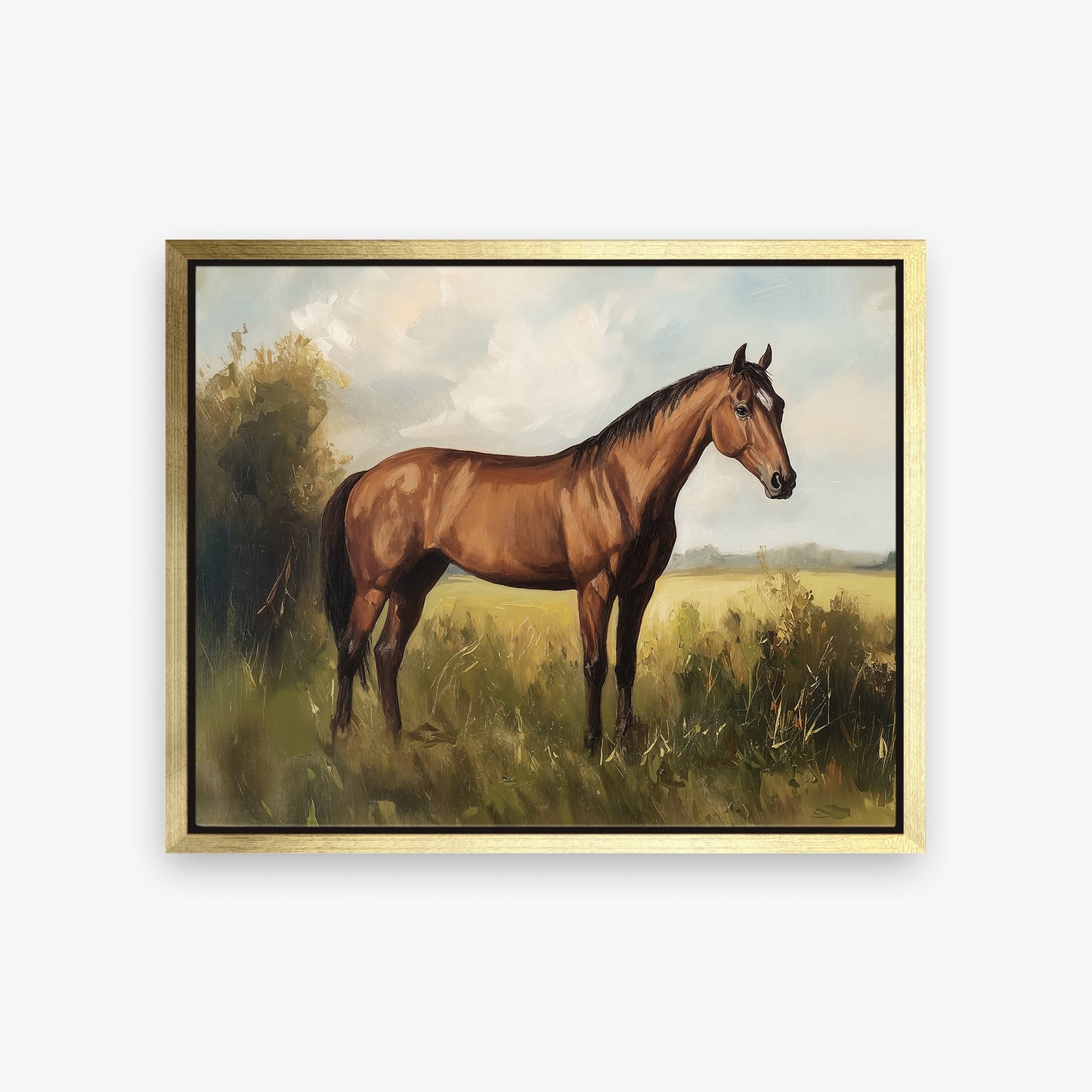 Show Horse