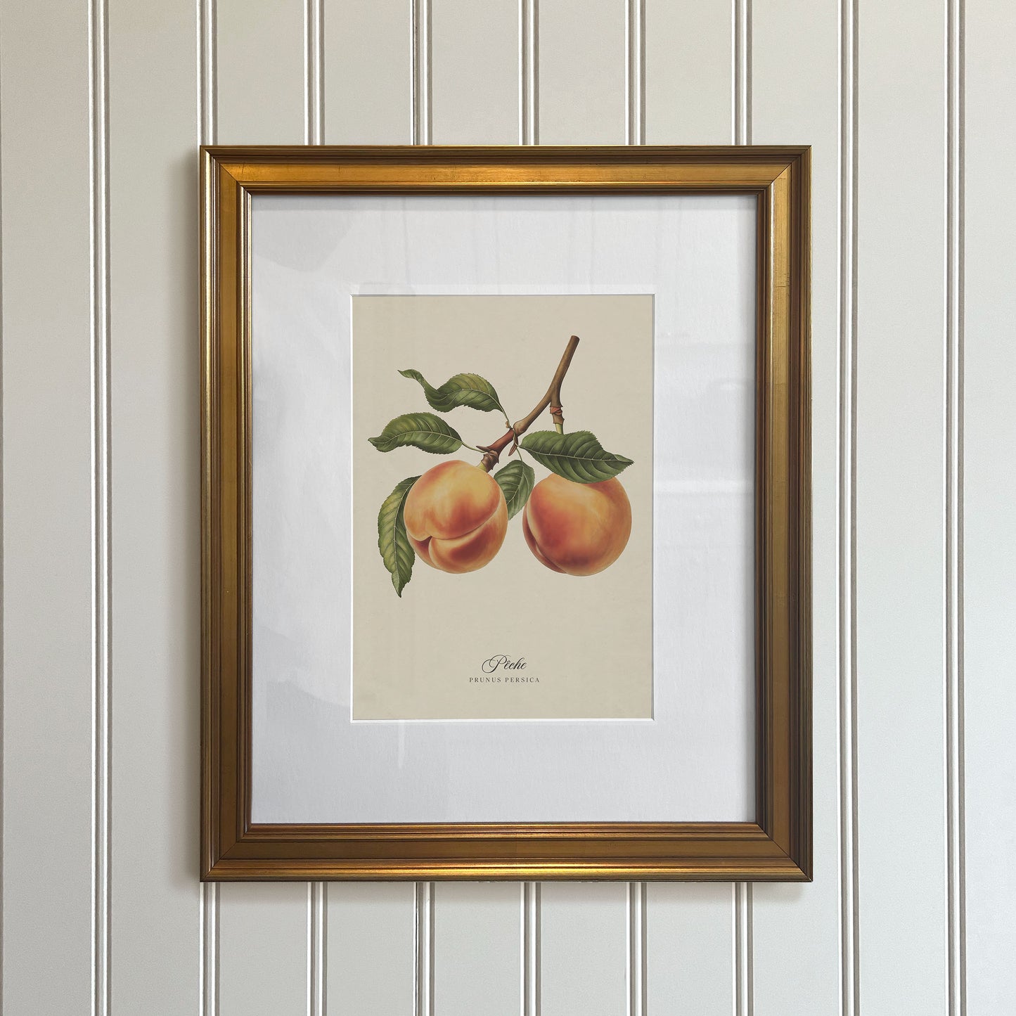 Botanicals: Pêche