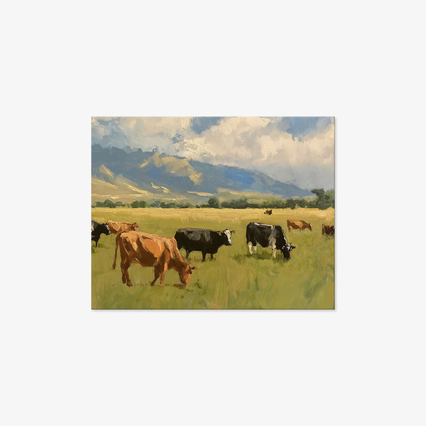canvas