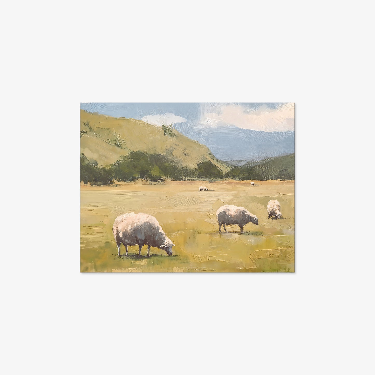 canvas