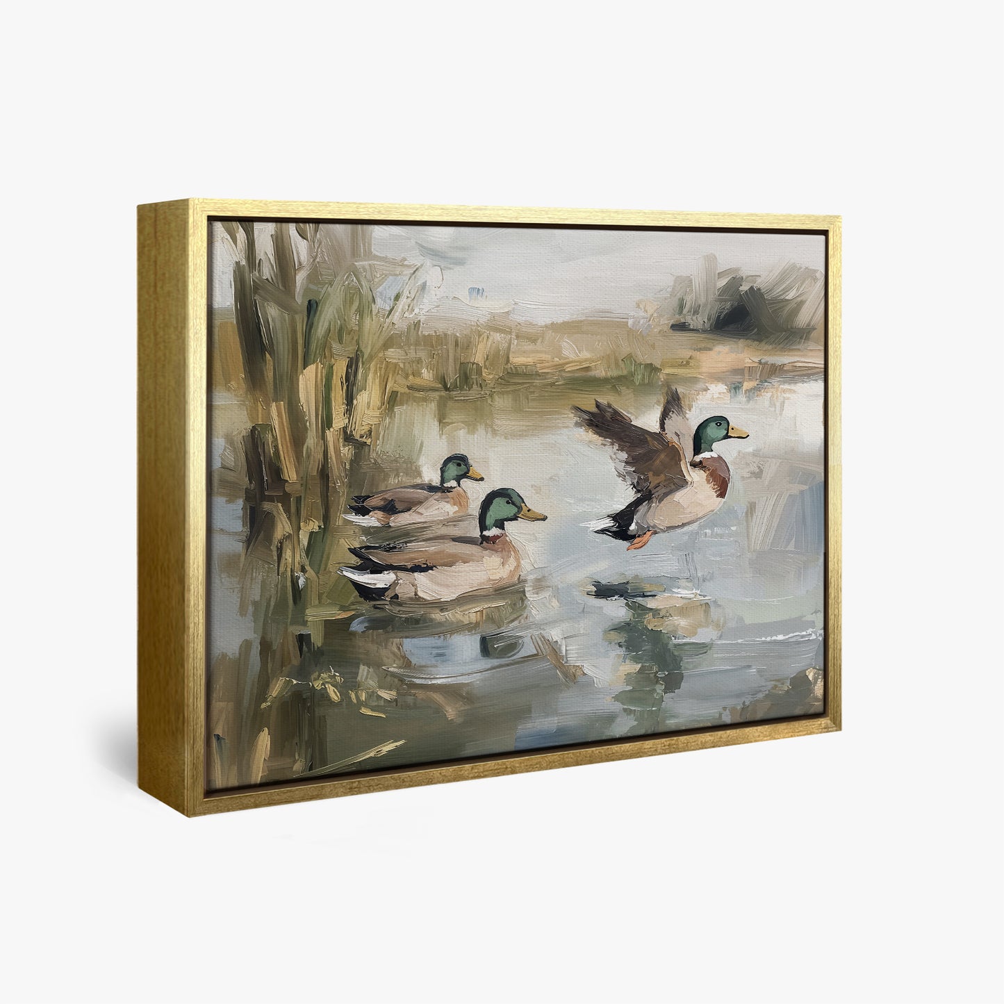 Ducks Wading
