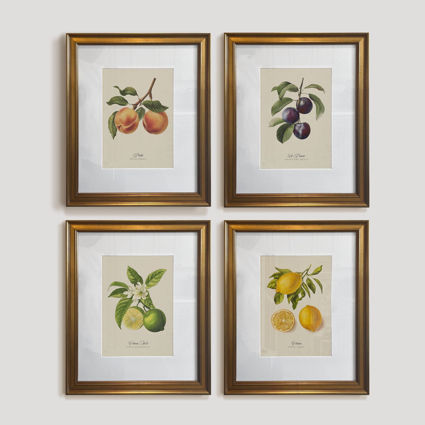 Botanicals: Pêche