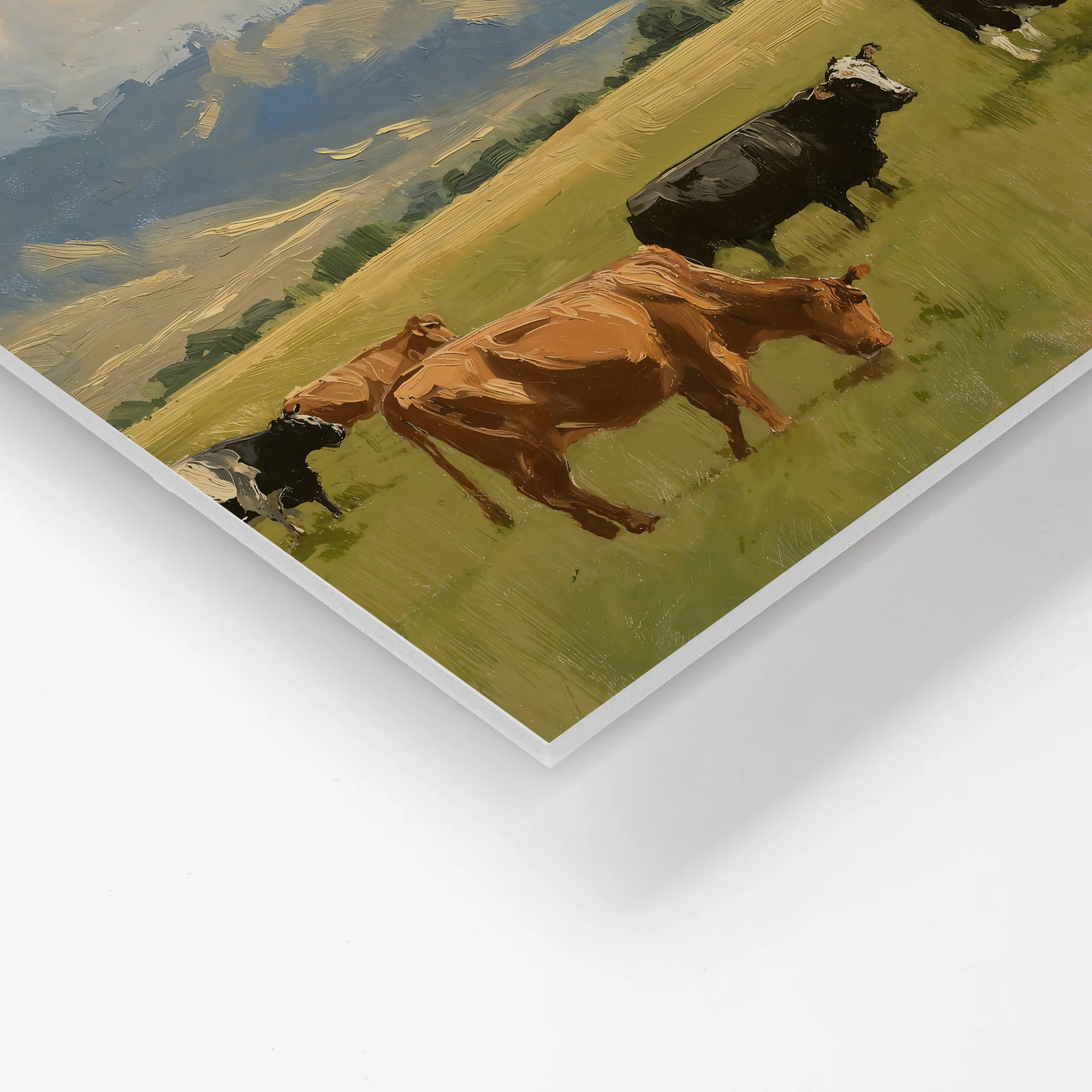 canvas