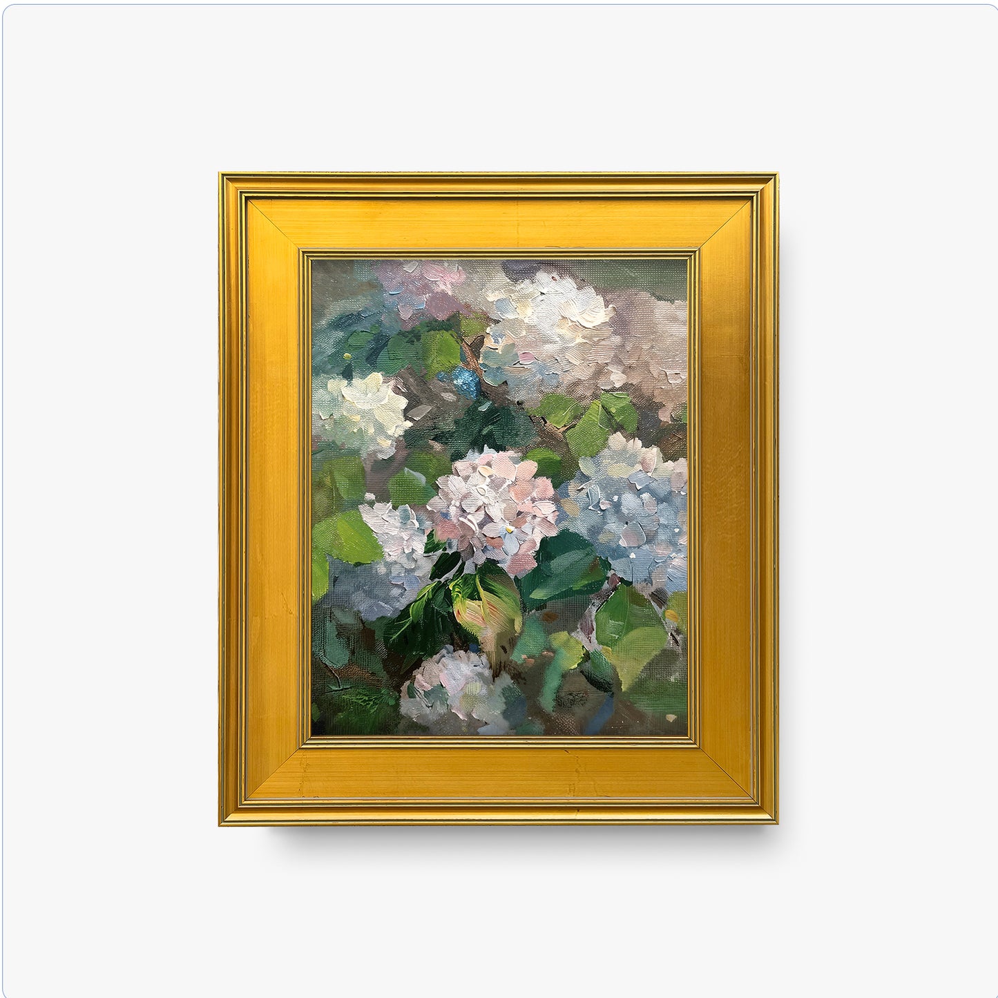Hydrangea