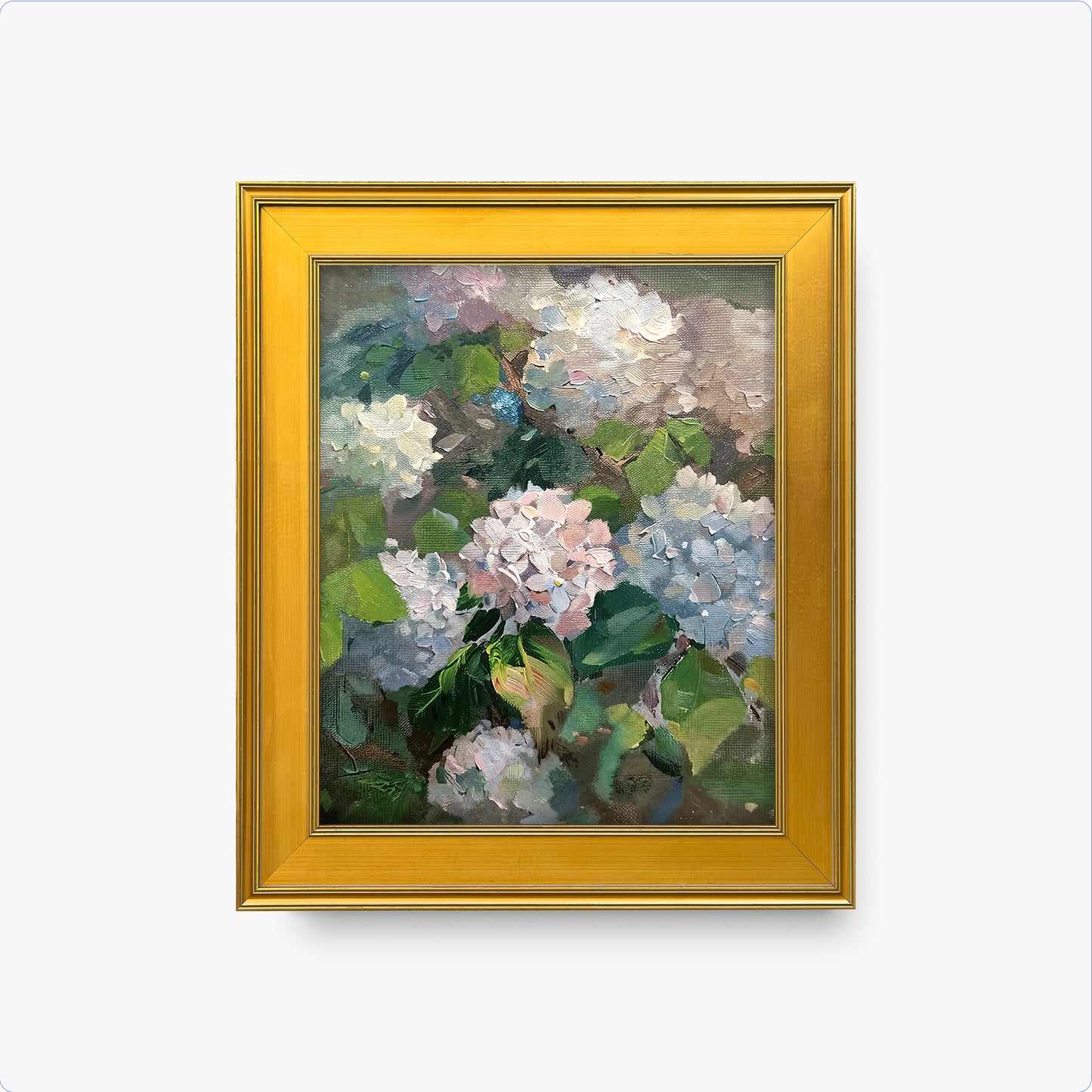 Hydrangea