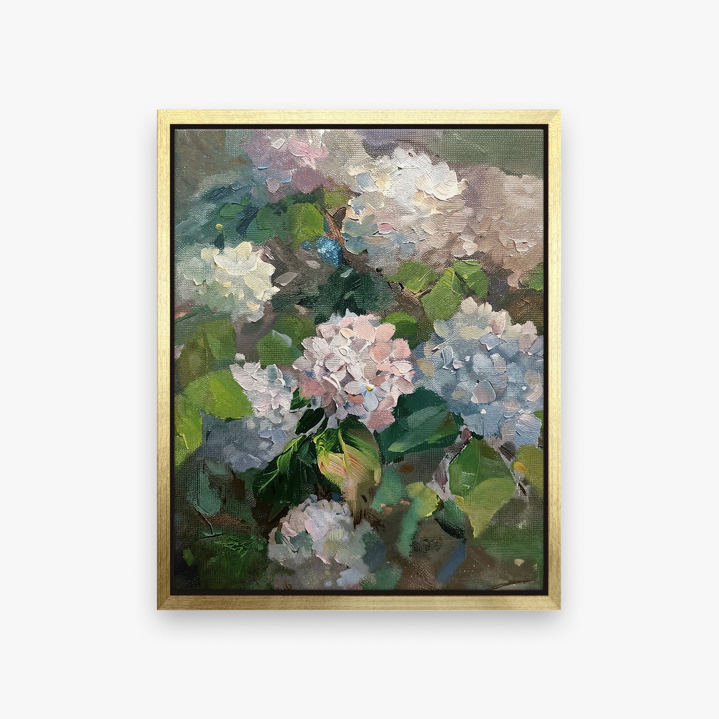 Hydrangea