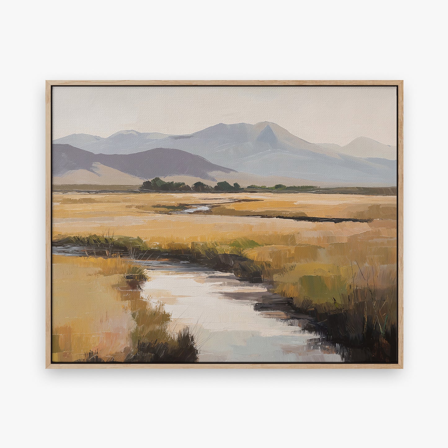 Mountain Valley Stream
