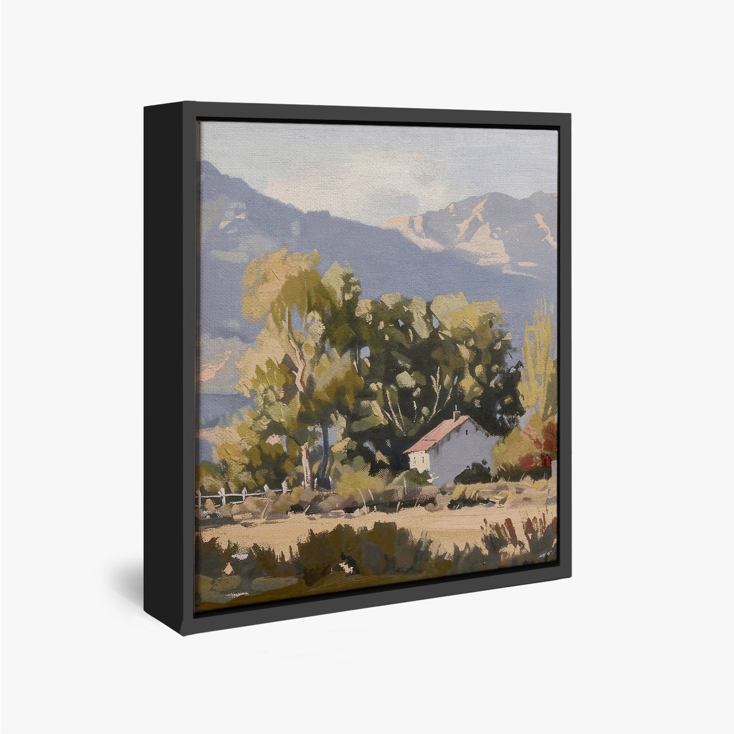 framed-canvas