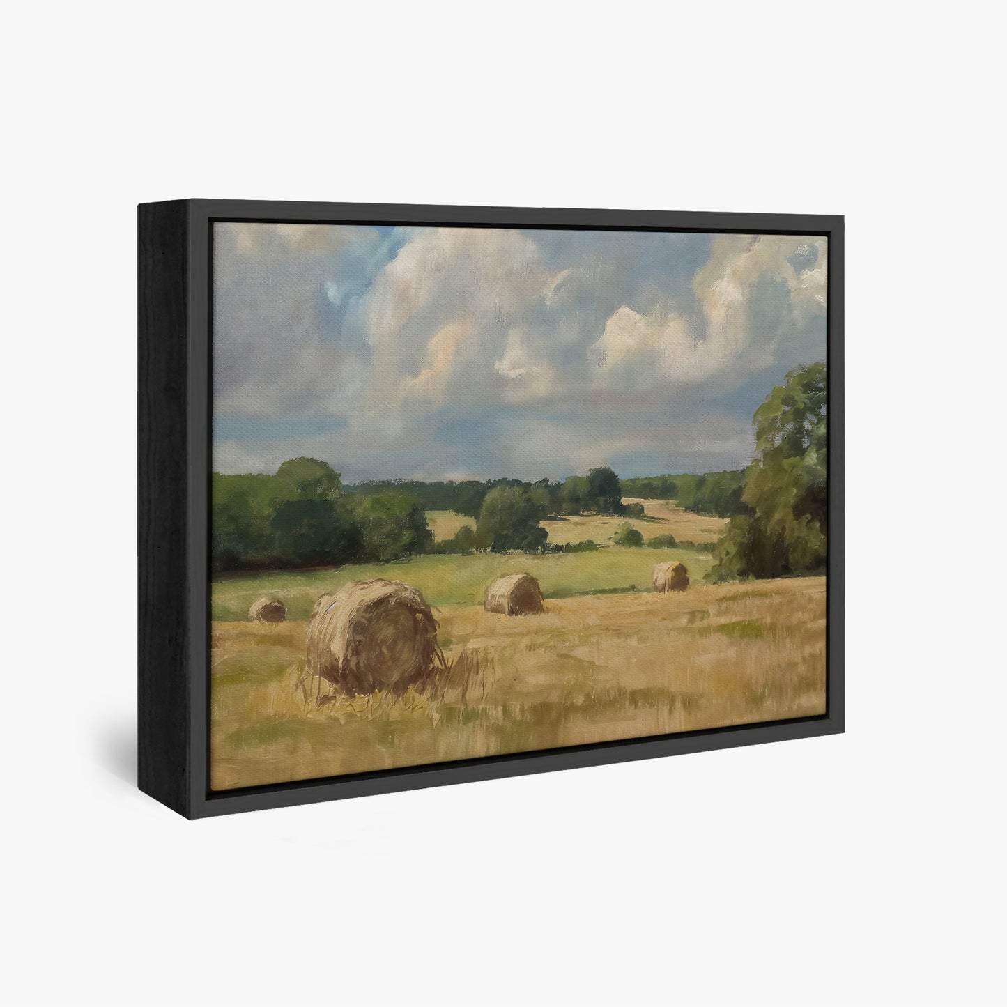 framed-canvas