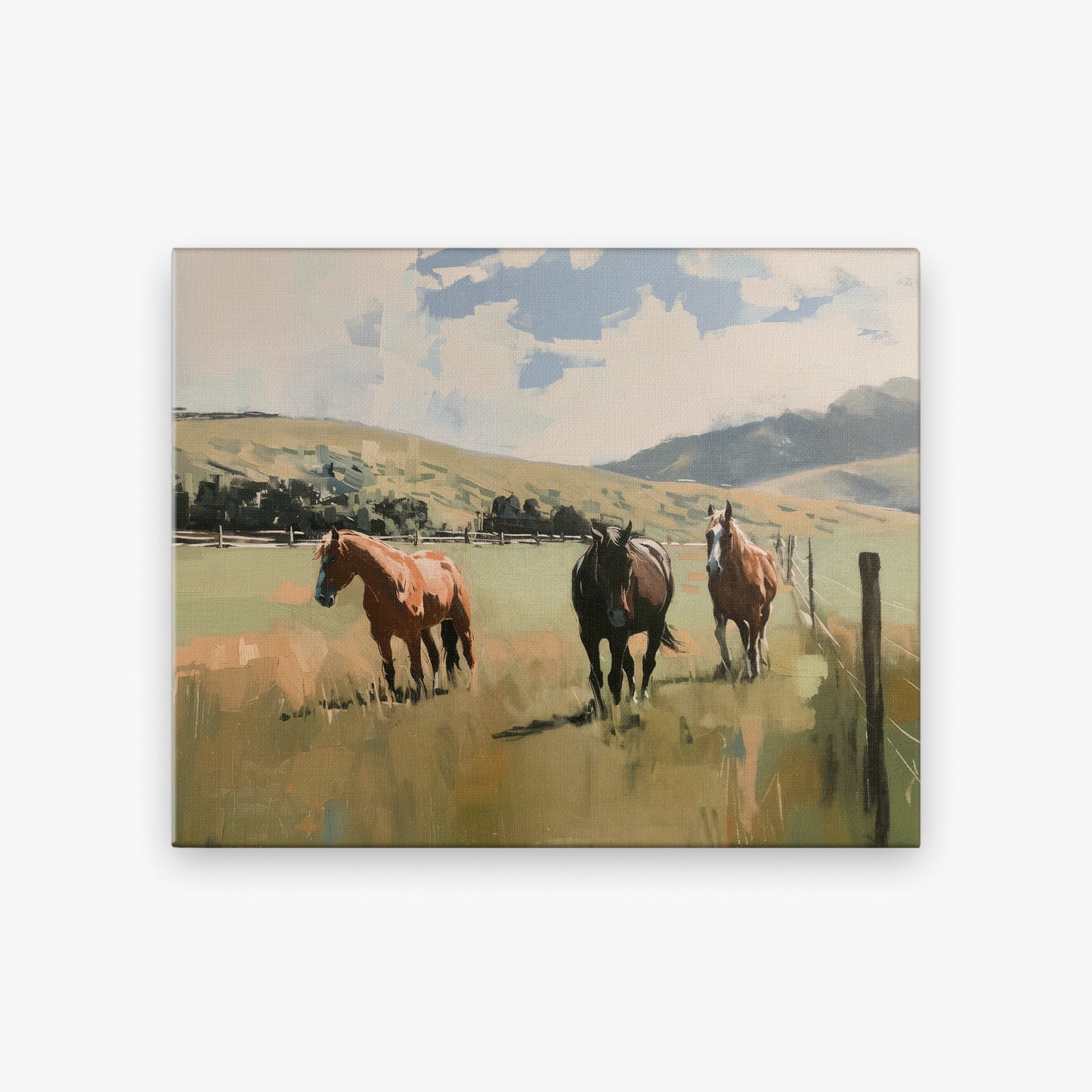 canvas