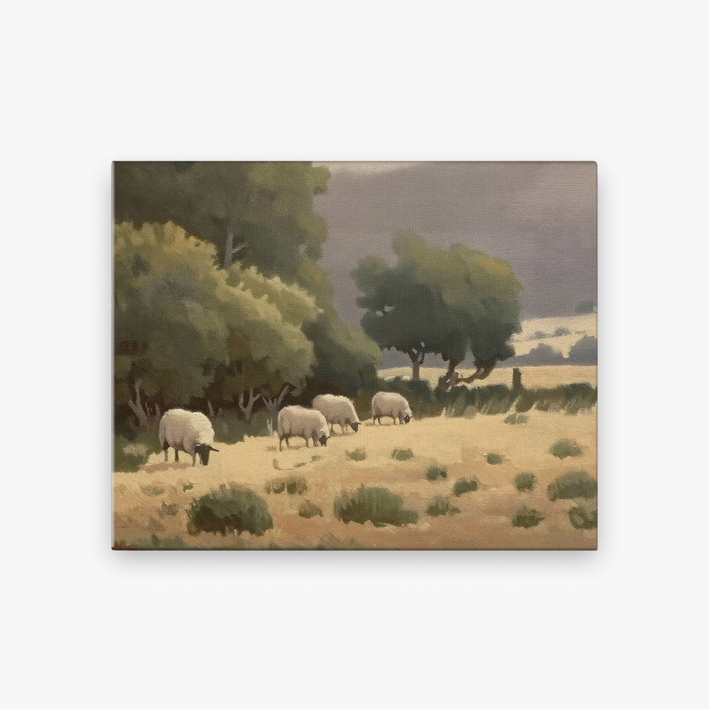 canvas