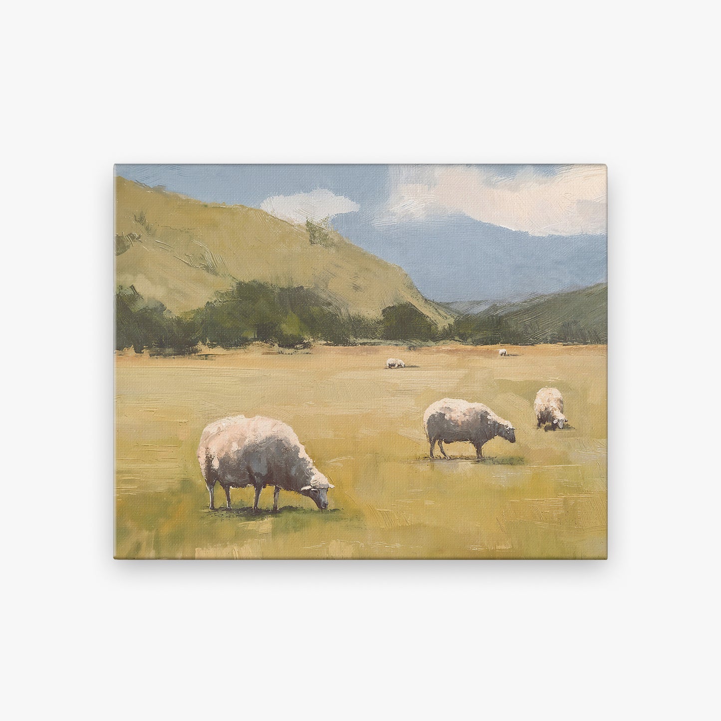 canvas