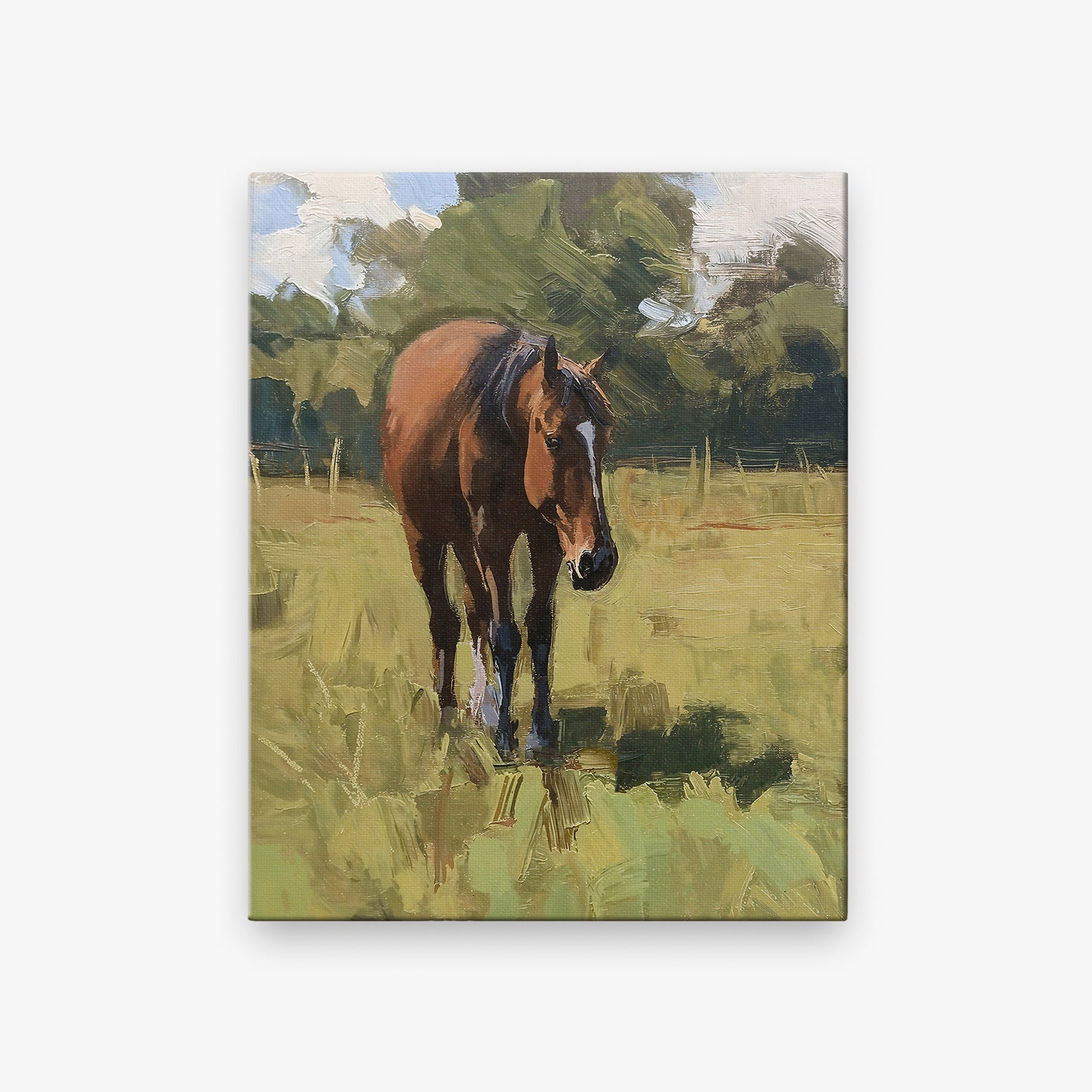 canvas
