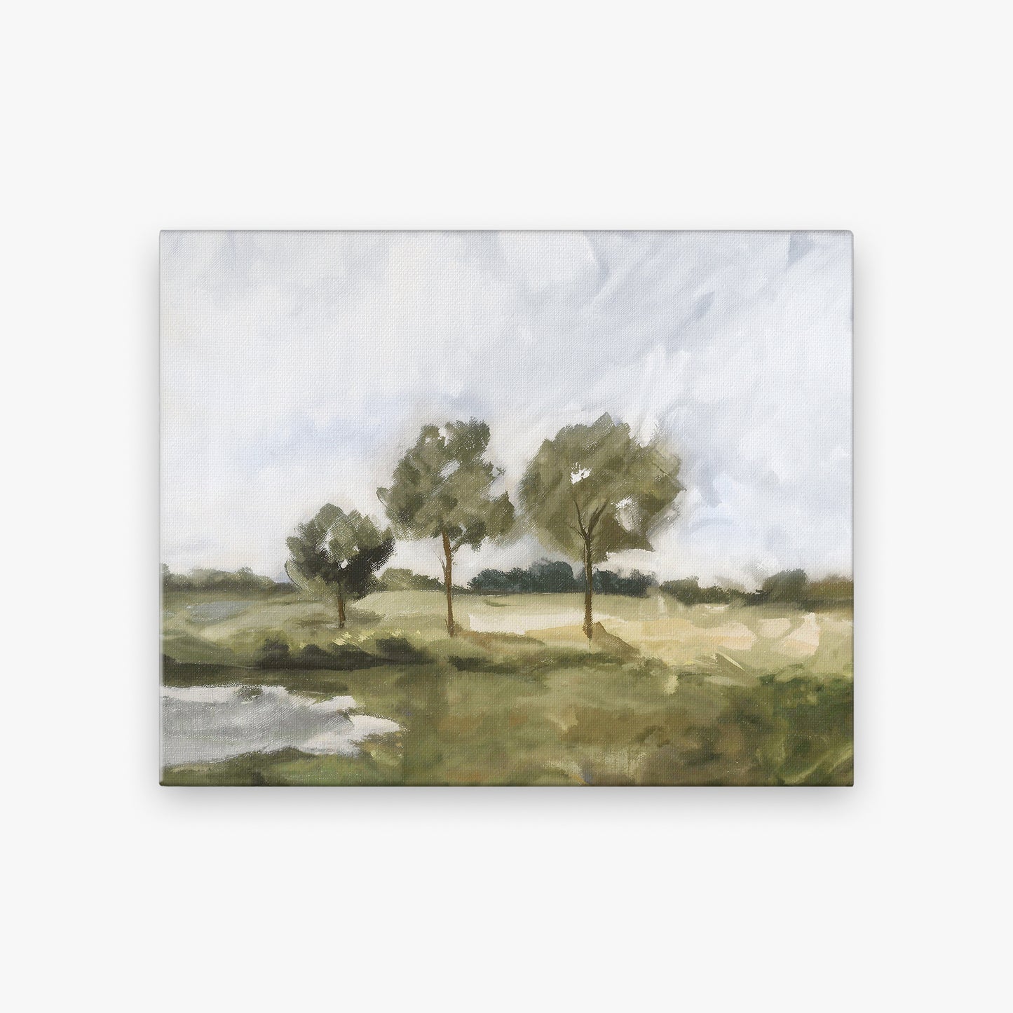 canvas