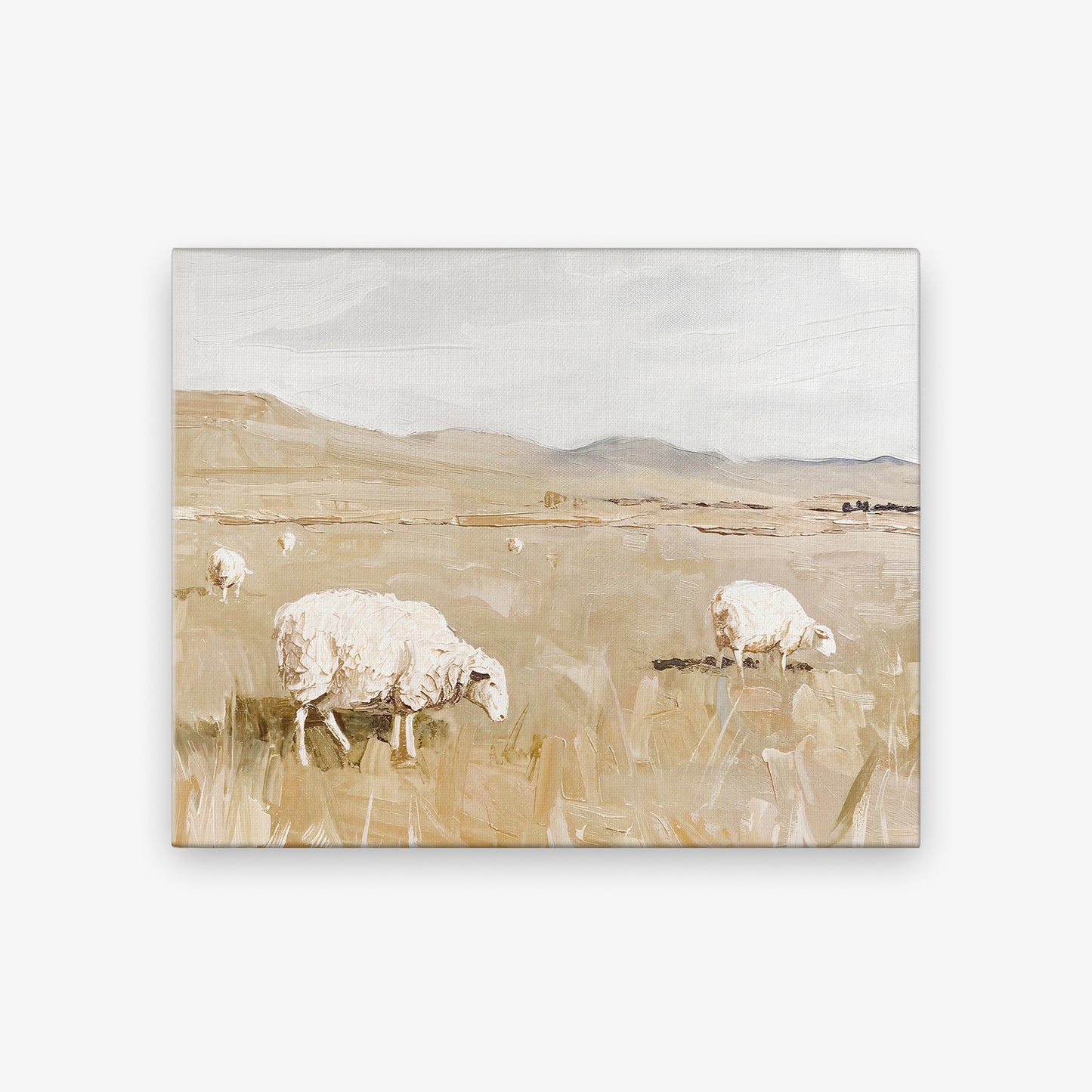 canvas