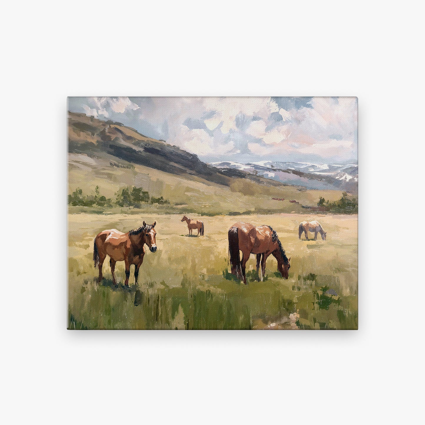 canvas