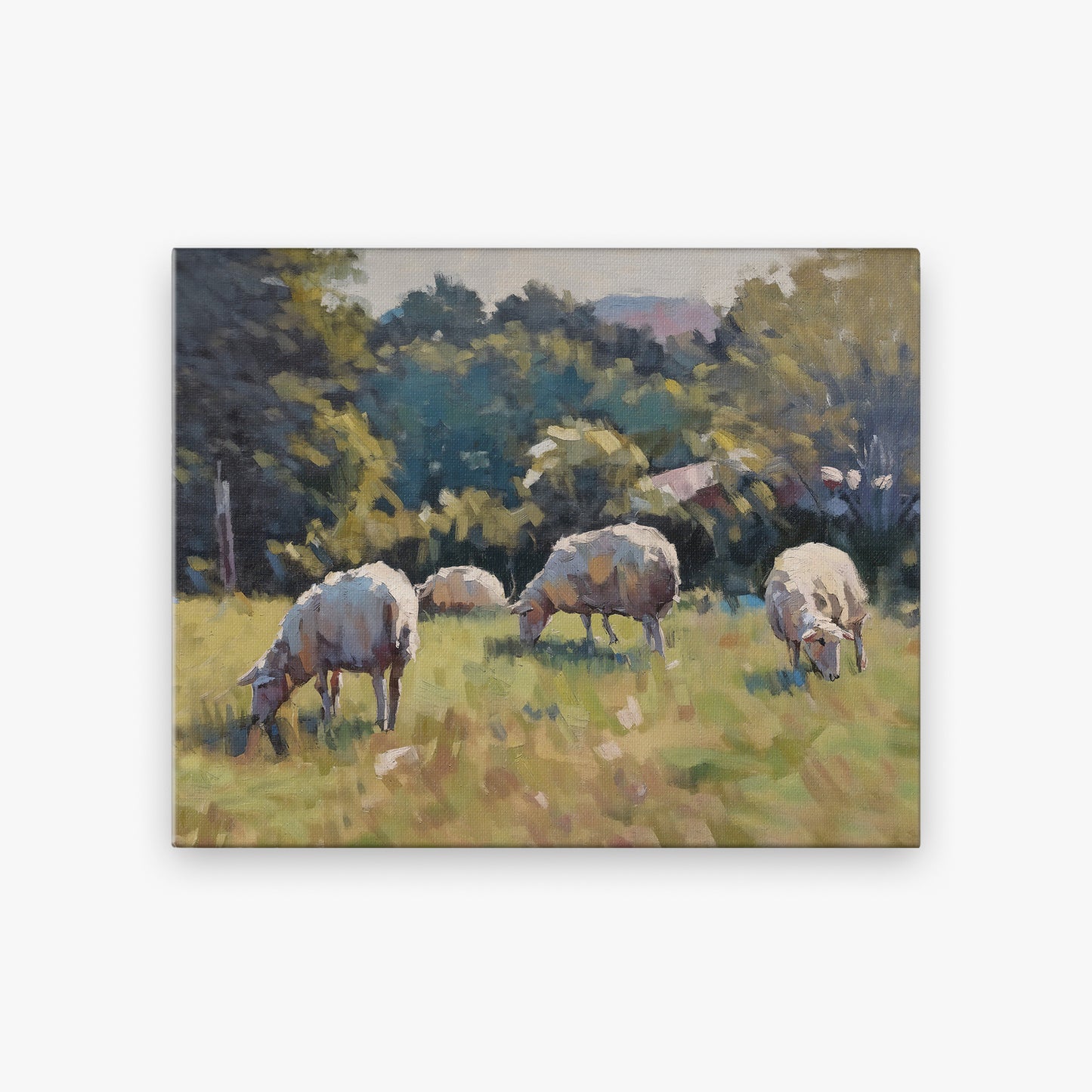canvas