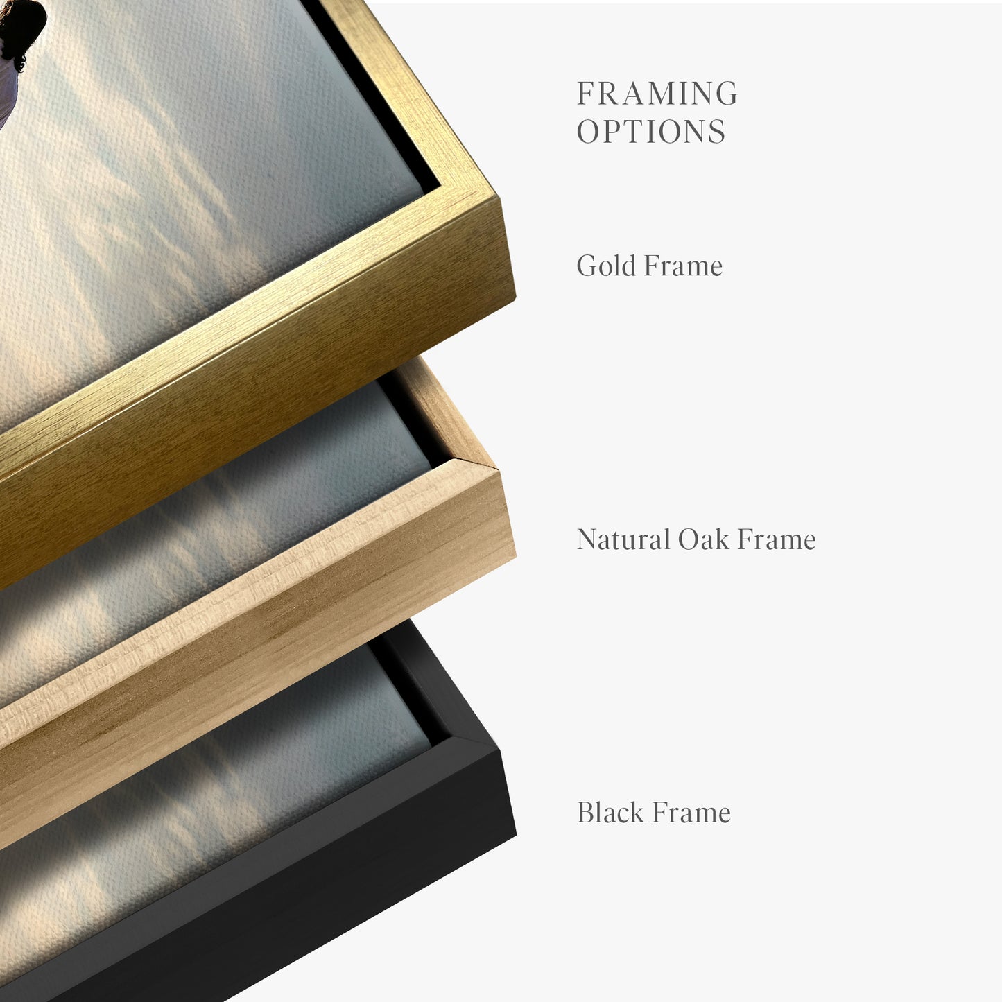 framed-canvas