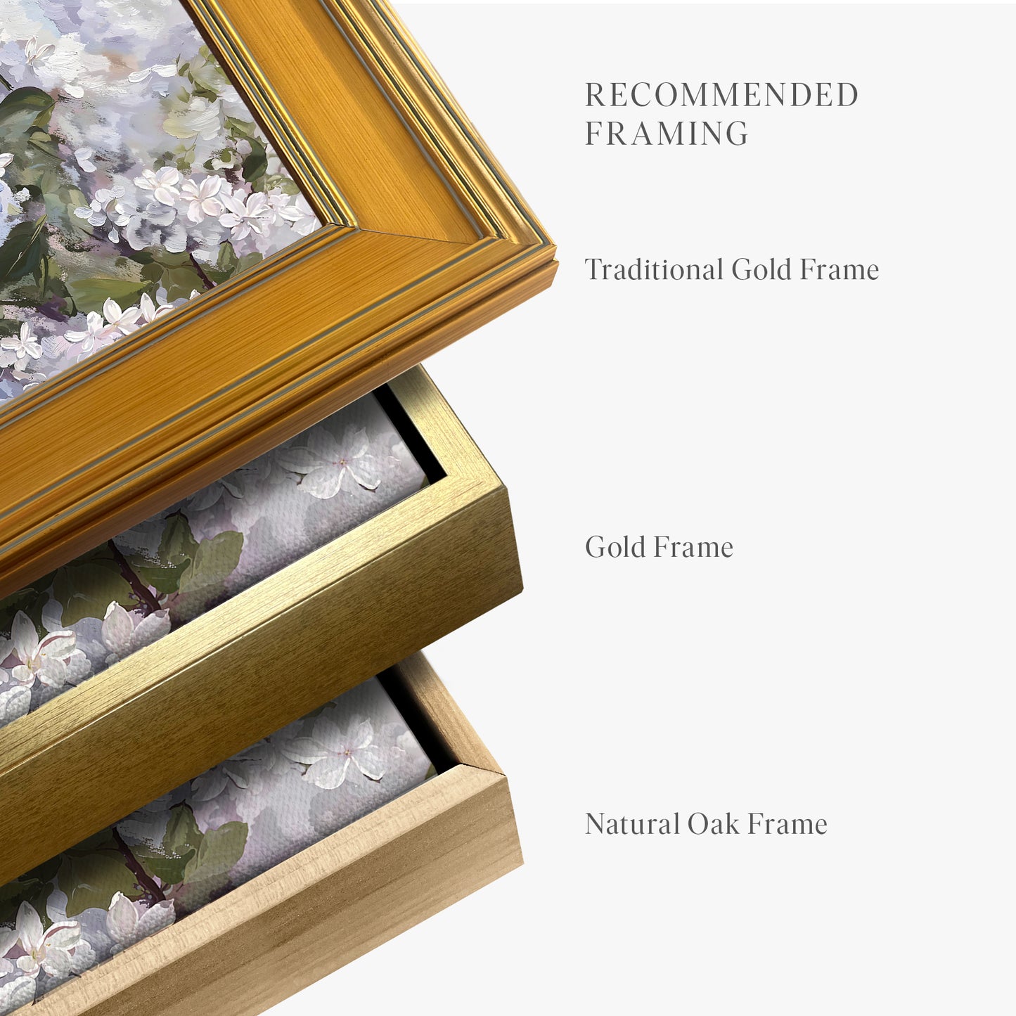 framed-canvas