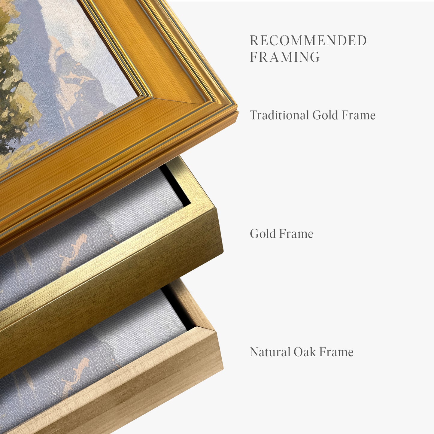 framed-canvas