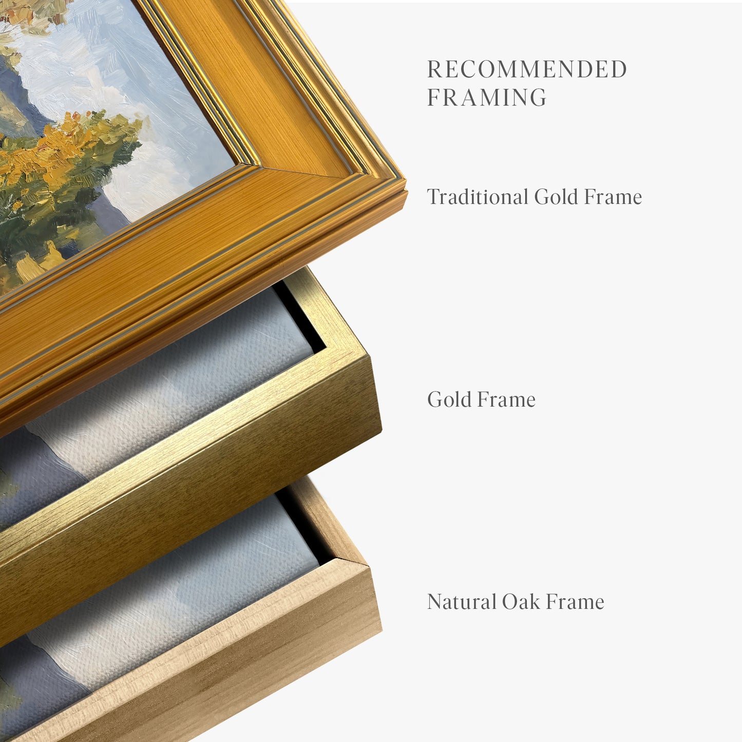 framed-canvas