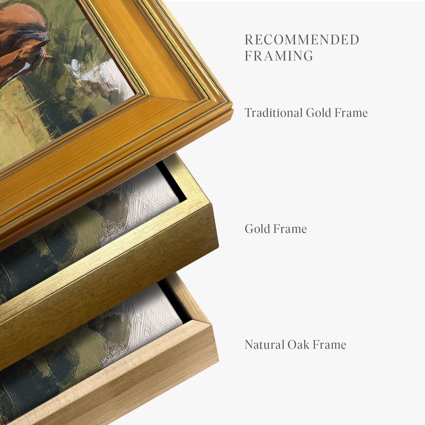 framed-canvas